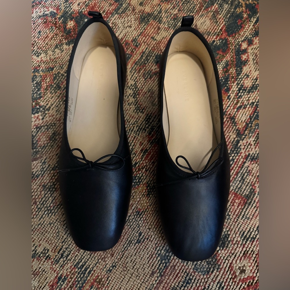 Everlane The Italian Leather Day Ballet Flats
